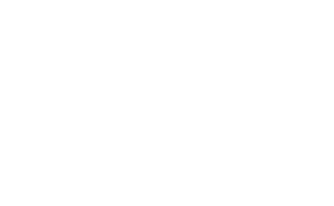 Richies South Indian logo